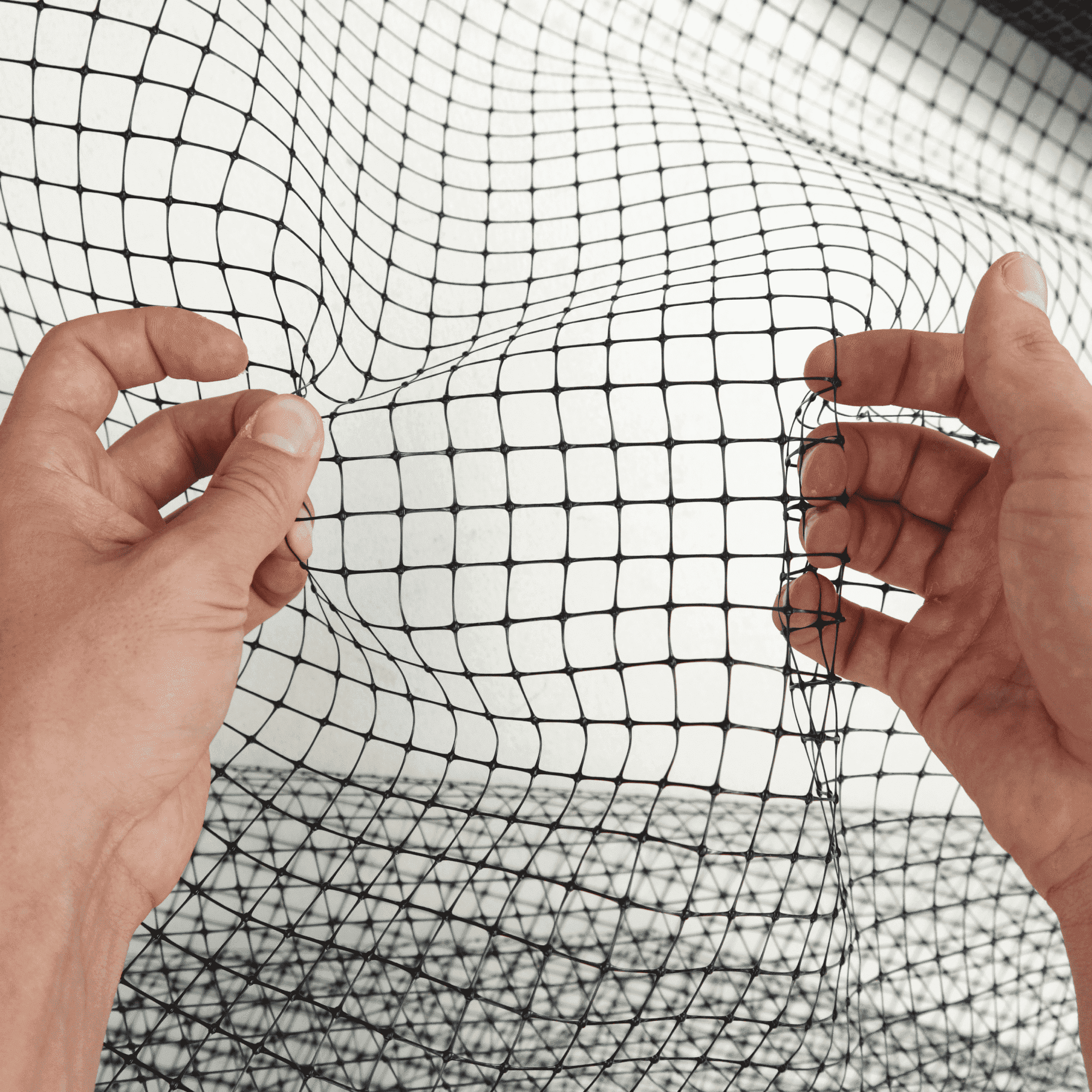 Сетка для ландшафтного дизайна Alfasetka 4х100