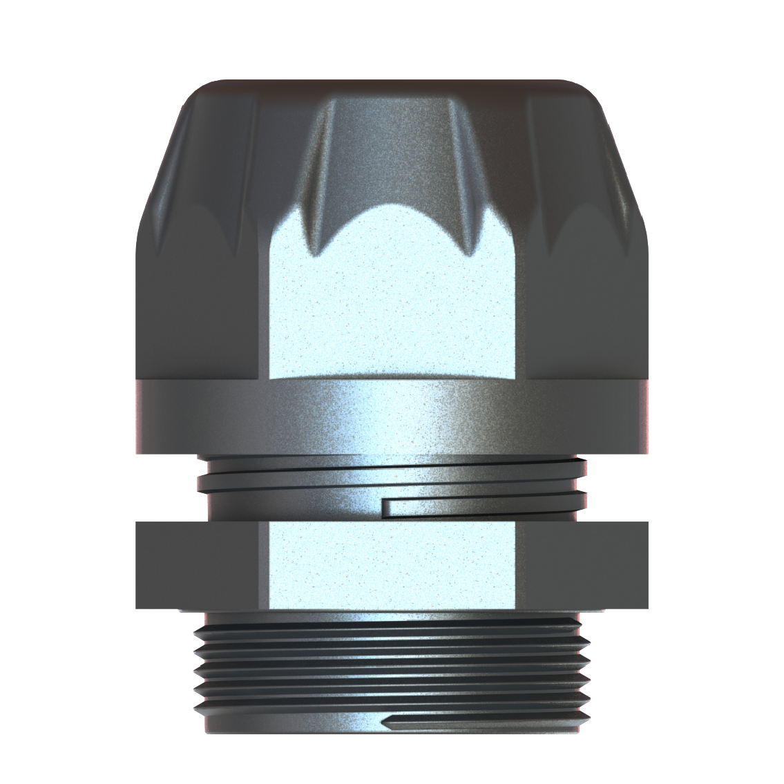 vega_01_4