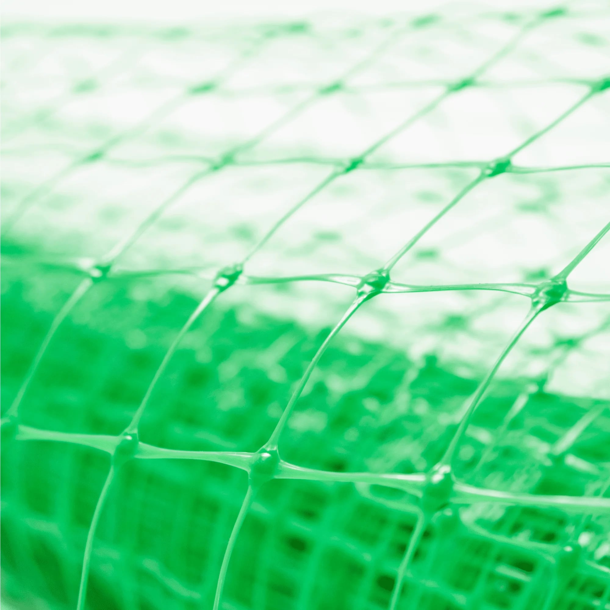 Сетка для палисадника Alfasetka - зеленая 1х10