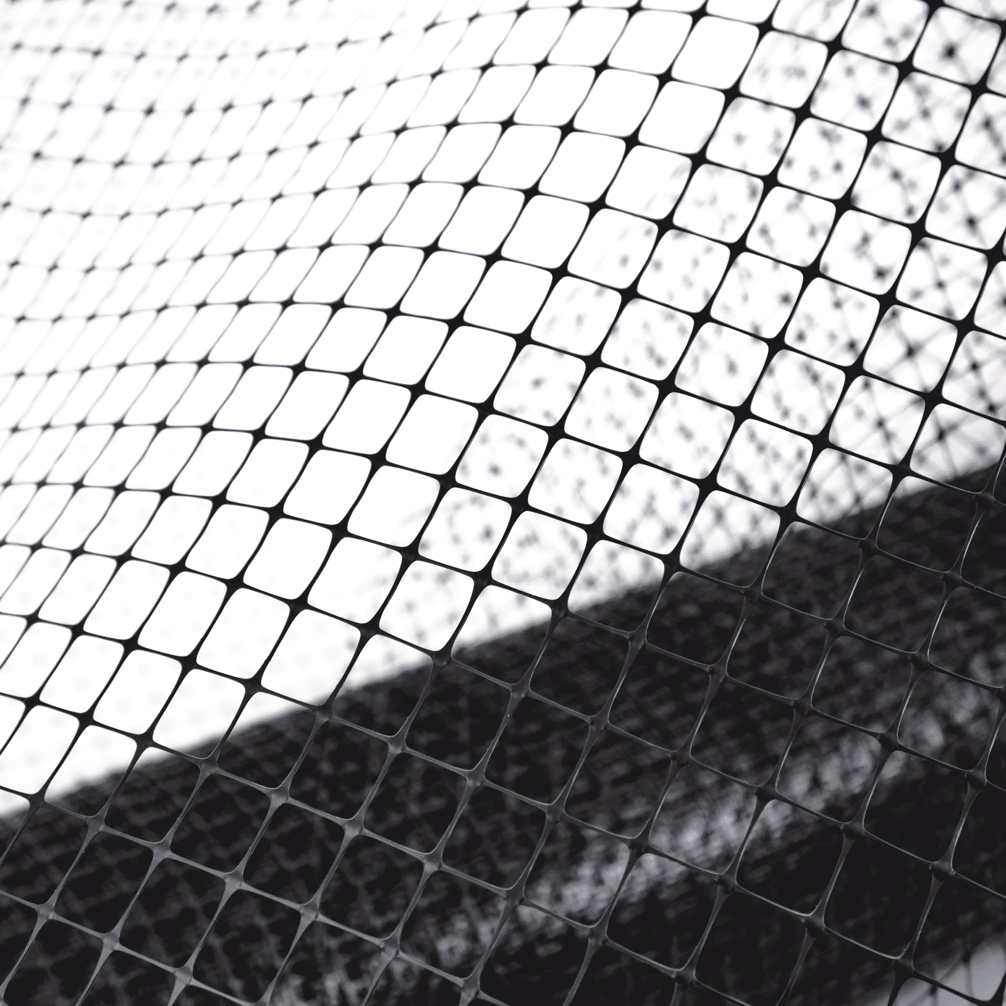 Сетка от вытаптывания Alfasetka 4х100