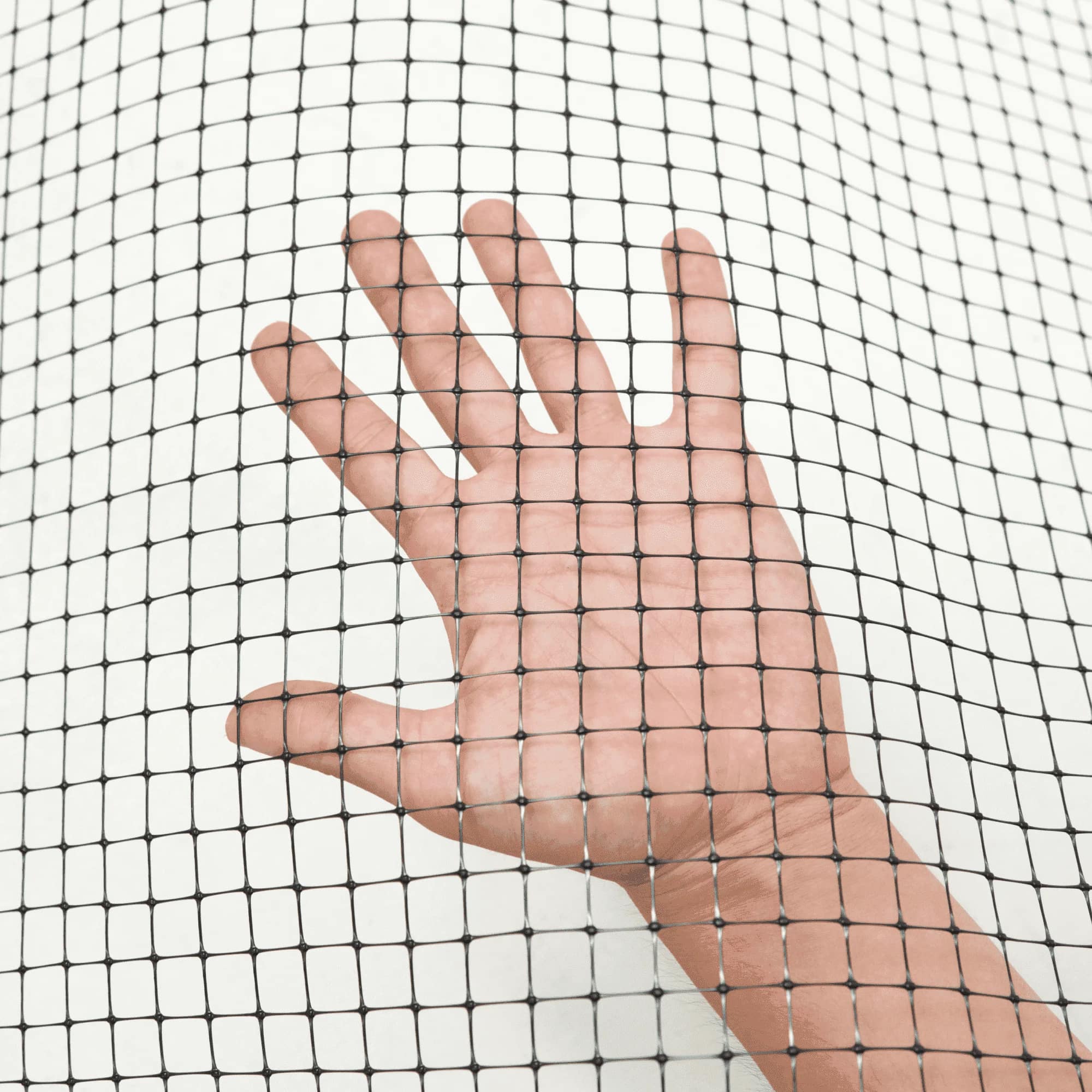 Сетка под забор Alfasetka 0,5х20