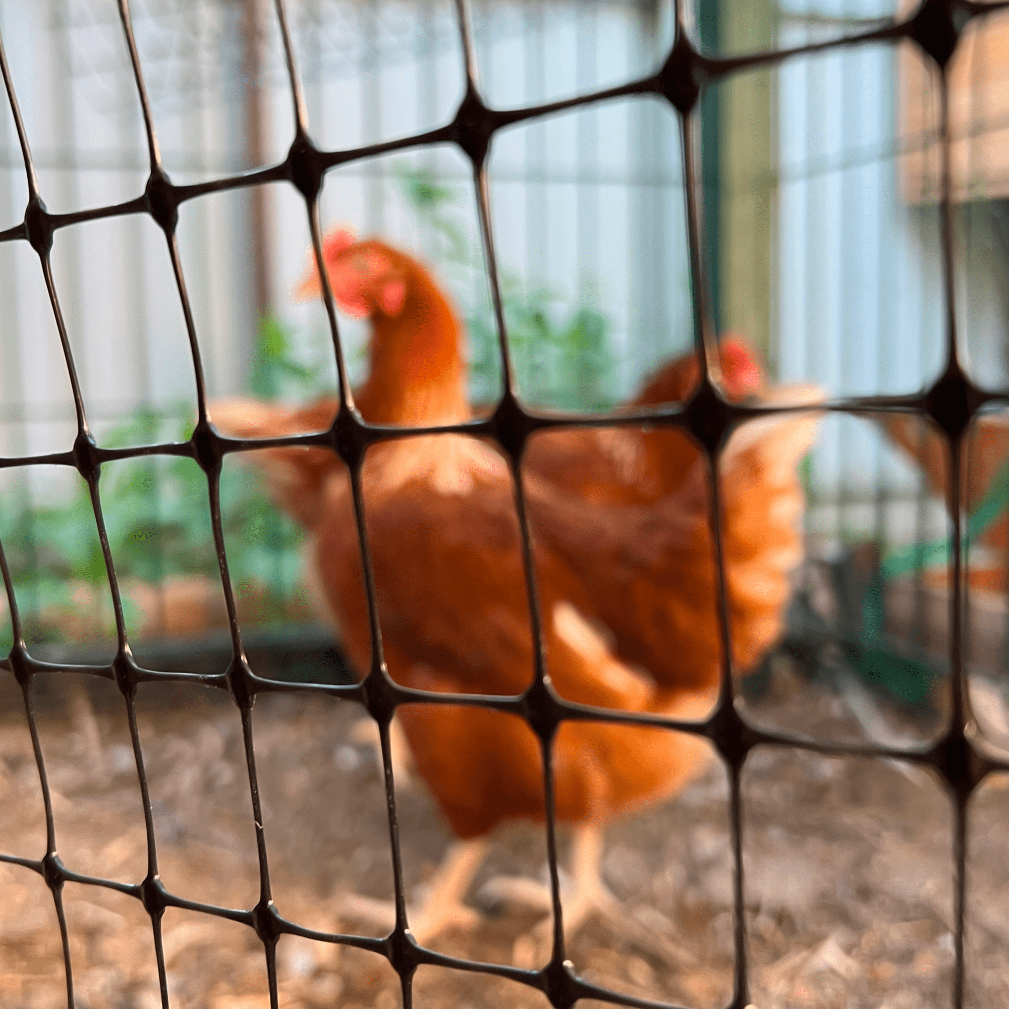 Универсальная сетка Alfasetka 1х10