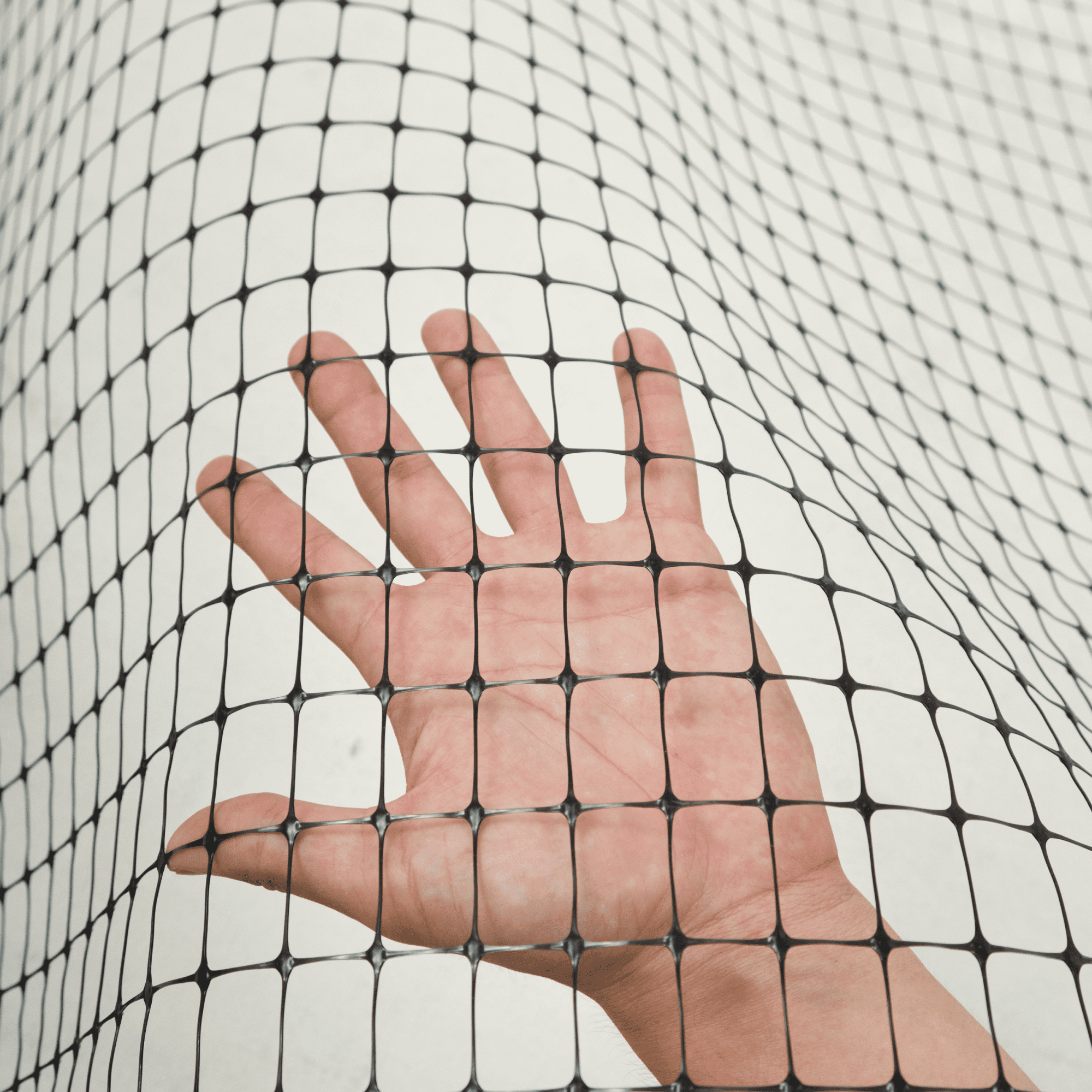 Универсальная сетка Alfasetka 1х50