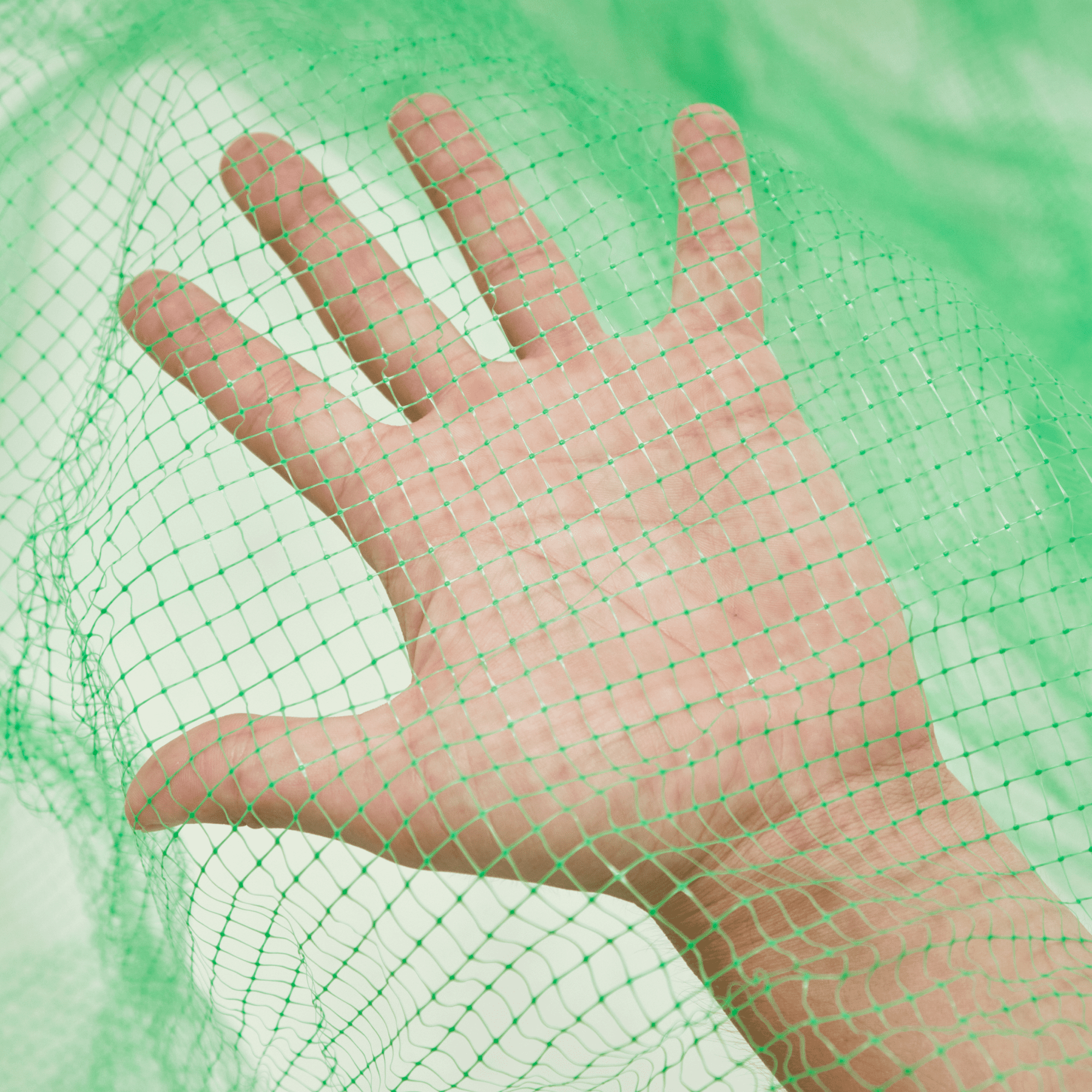 Сетка от птиц Alfasetka, зеленая 2х100