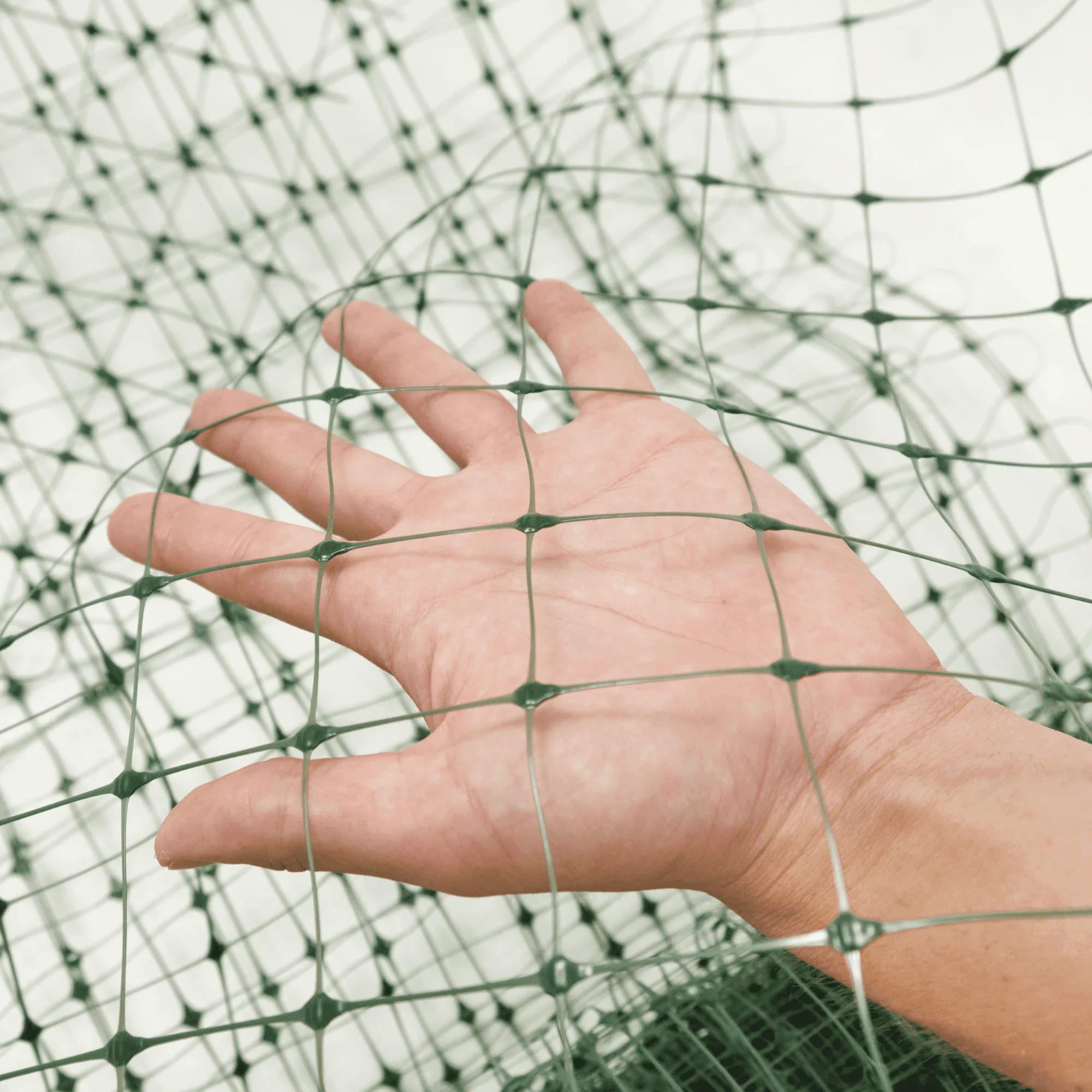 Основа для маскировочной сети Alfasetka - хаки 2х60