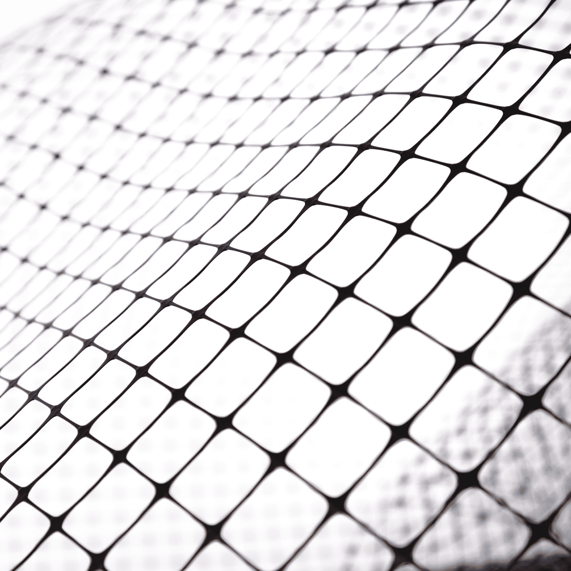 Сетка от вытаптывания Alfasetka 2х100