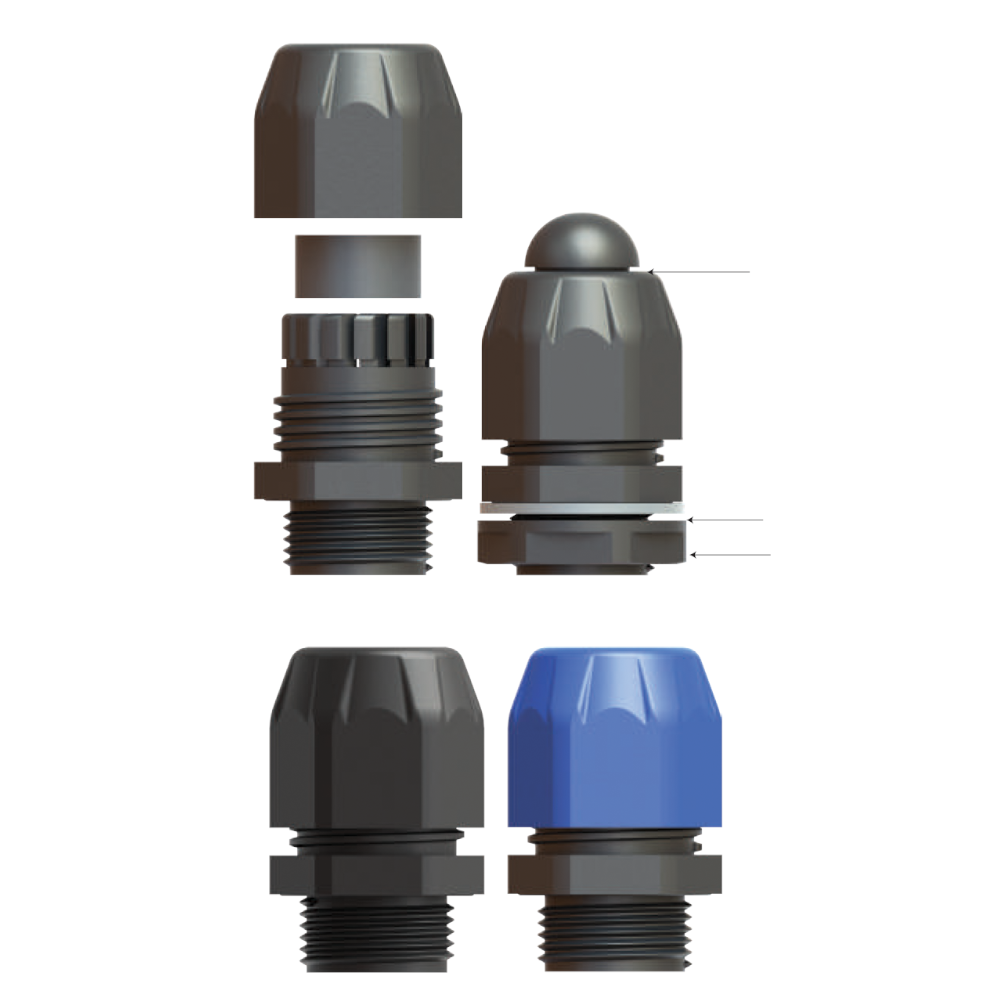 vega_2_4
