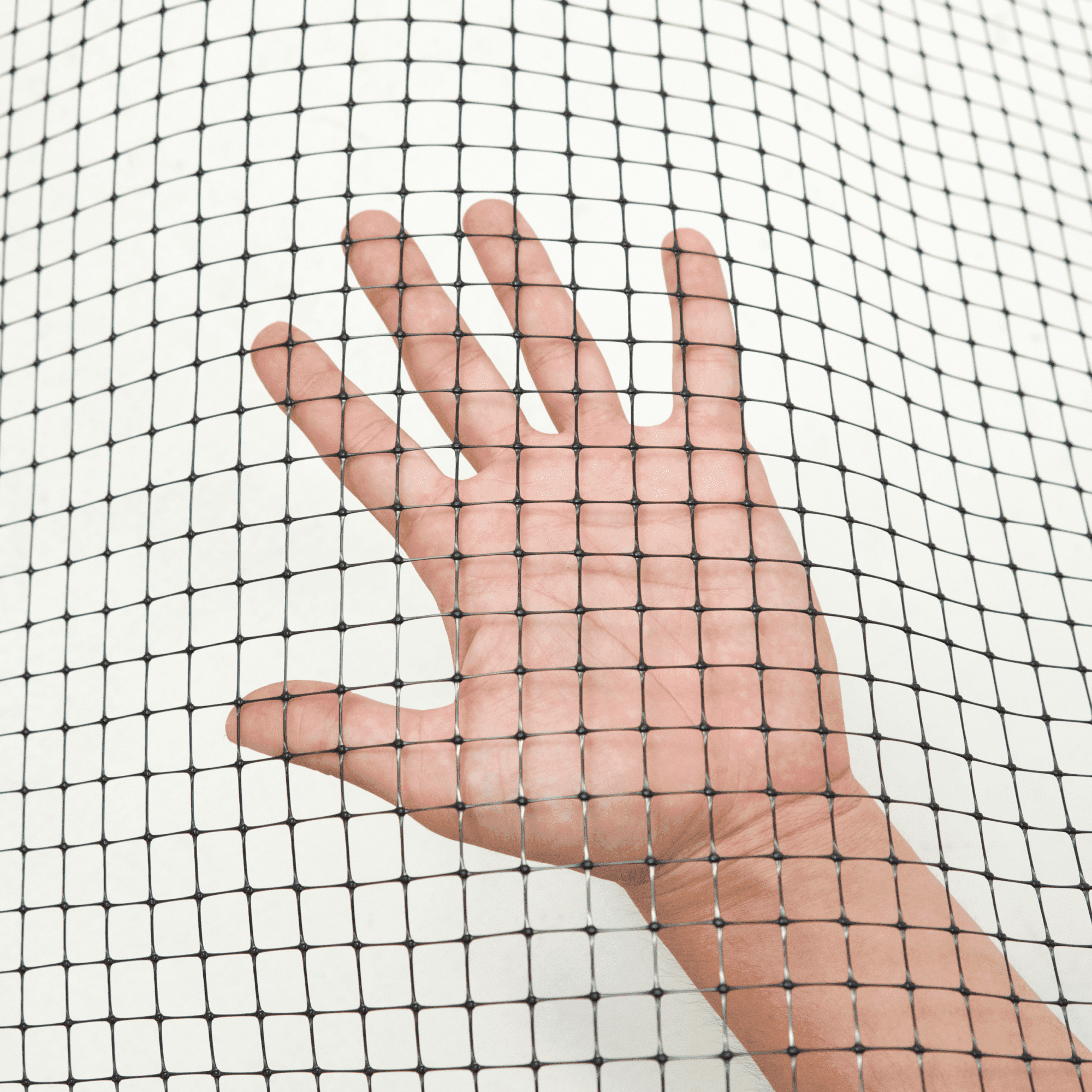 Сетка для птичников Alfasetka 1х10