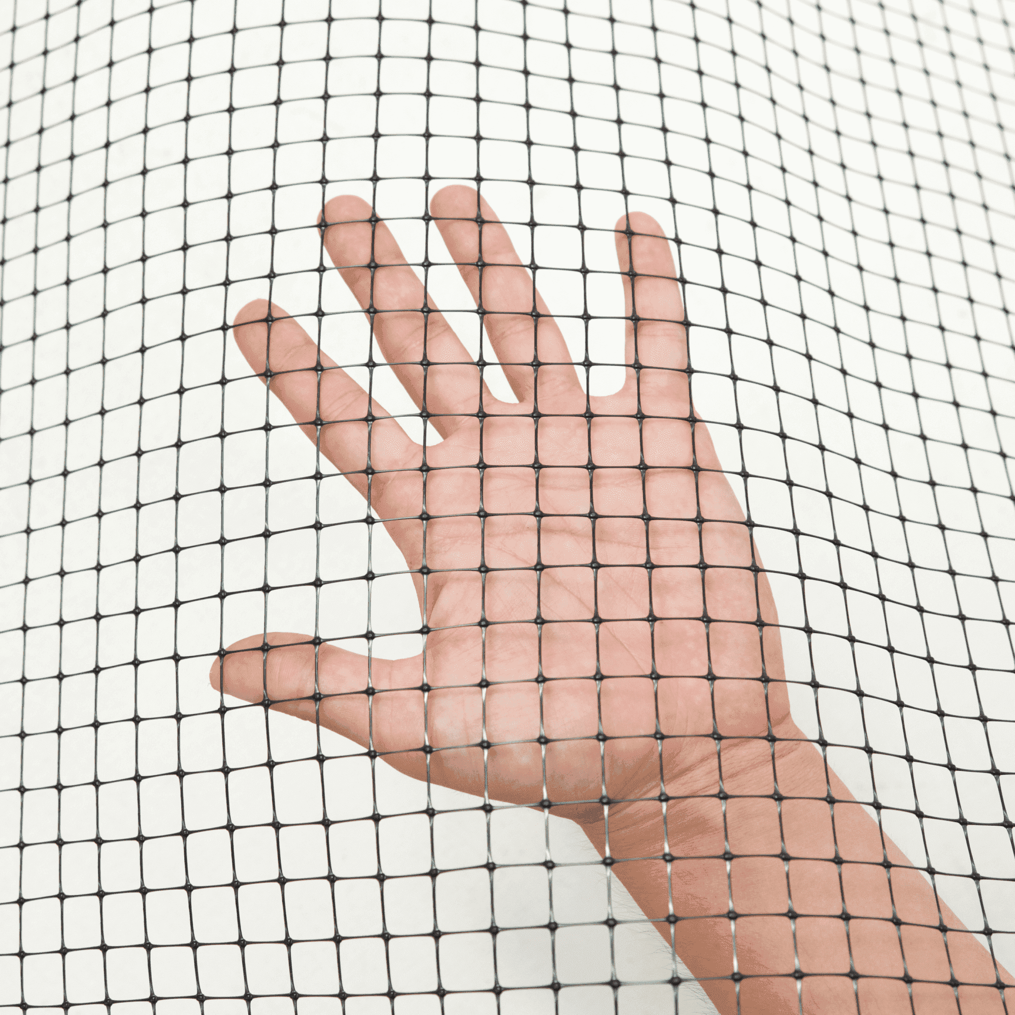 Сетка от вытаптывания Alfasetka 2х100